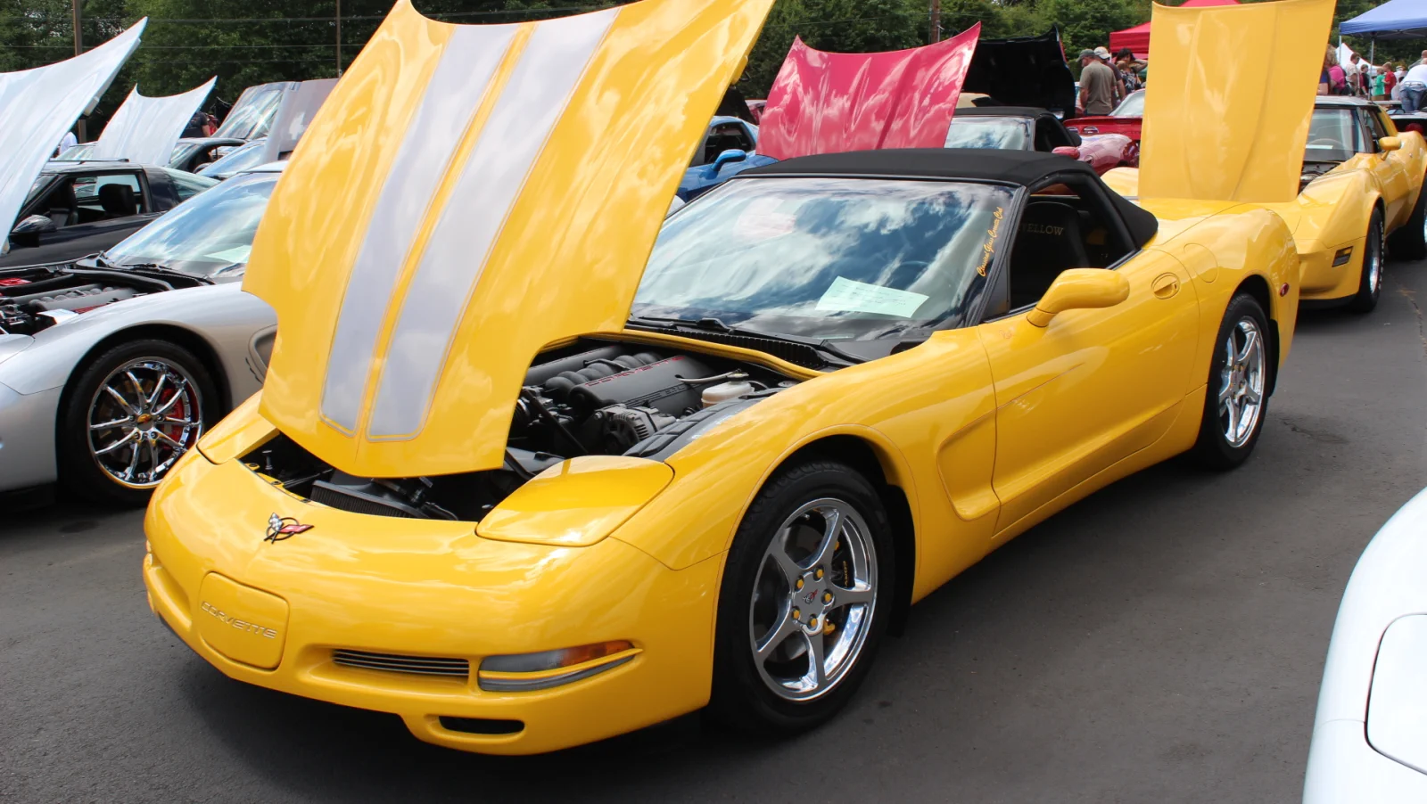 Click to Enlarge-Esc to Close Corvette Generations/C5/C5 Yellow -C5.webp